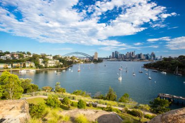 Waverton Yarımadası rezerv Sydney manzarası