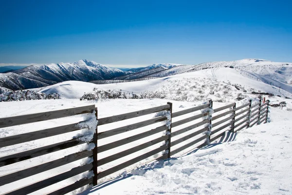 Mt Hotham взимку — стокове фото