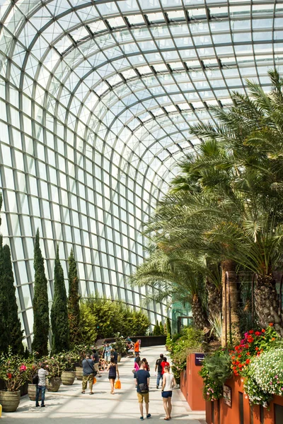 Gardens By The Bay — Stock Photo, Image