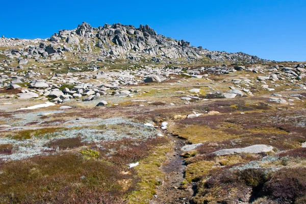 Kosciuszko Passeggiata al vertice di Thredo — Foto Stock