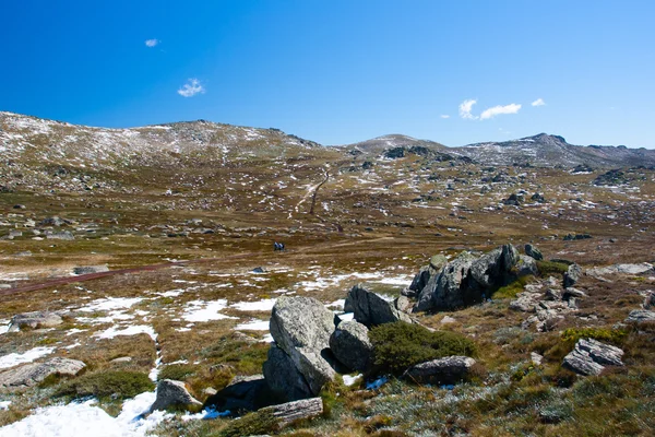 Kosciuszko chůze na Thredo summitu — Stock fotografie