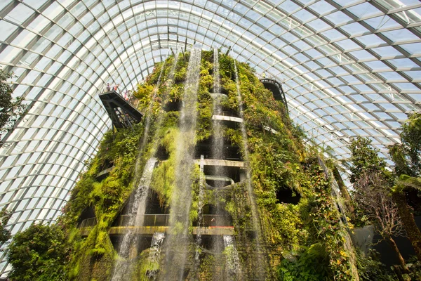 Gardens by the Bay Cloud Forest Dome in Singapore — Stock Photo, Image