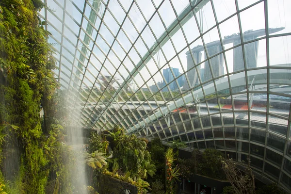 싱가포르에서 베이 구름 숲 돔에 의해 정원 — 스톡 사진