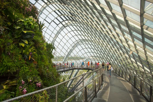 Gardens by the Bay Cloud Forest Dome in Singapore — Stock Photo, Image