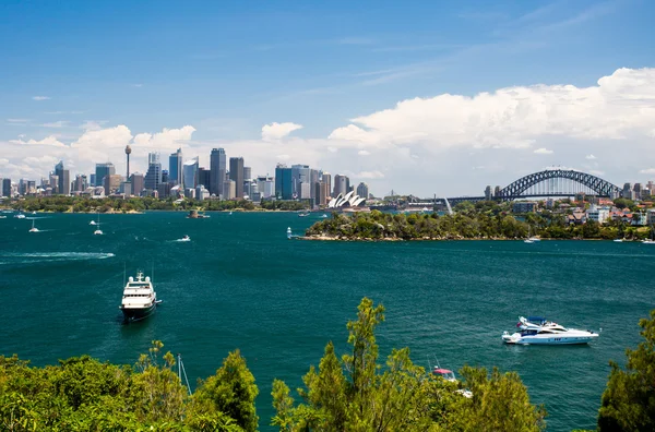 Puerto de Sydney desde Taronga Zoo Imágenes de stock libres de derechos