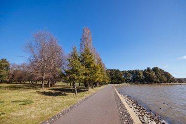 CANBERRA, AUSTRALIA - SEPTEMBER 14, 2025: Canberra Nara Peace Park and Lennox Gardens on a warm spring afternoon in Australian Capital Territory, Australia.