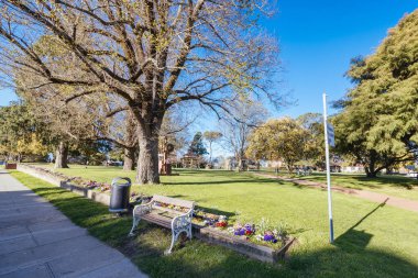 BRAIDWOOD, AUSTRALYA - 14 Eylül 2025: Braidwood 'daki Ryrie Parkı Yeni Güney Galler, Avustralya' da güneşli bir bahar gününde