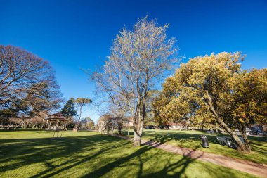 BRAIDWOOD, AUSTRALYA - 14 Eylül 2025: Braidwood 'daki Ryrie Parkı Yeni Güney Galler, Avustralya' da güneşli bir bahar gününde