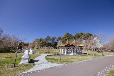 CANBERRA, AUSTRALIA - SEPTEMBER 14, 2025: Beijing Garden in Canberra Nara Peace Park on a warm spring afternoon in Australian Capital Territory, Australia.
