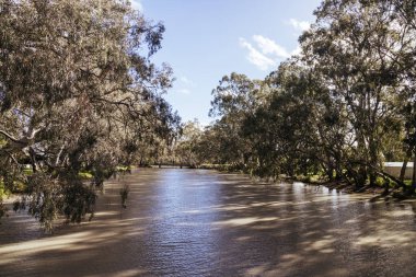 BIRCHIP, AUSTRALIA - 27 Eylül 2025: Lions Club Flora - Fauna Park ve Yarriambiack Deresi Victoria, Avustralya 'daki Warracknabeal kasabasında