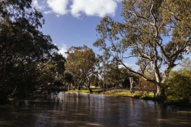 BIRCHIP, AUSTRALIA - 27 Eylül 2025: Lions Club Flora - Fauna Park ve Yarriambiack Deresi Victoria, Avustralya 'daki Warracknabeal kasabasında