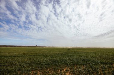 Gökkuşağı, Victoria, Avustralya yakınlarındaki Wimmera Mallee bölgesinden geçen bir toz fırtınası