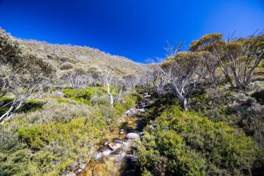 Ramshead Dağları 'nın eteklerindeki Ölü At Geçidi yürüyüş yolunun başlangıcı sıcak bir yaz günü Kosciuszko Ulusal Parkı, Yeni Güney Galler, Avustralya' da Thredo yakınlarında.