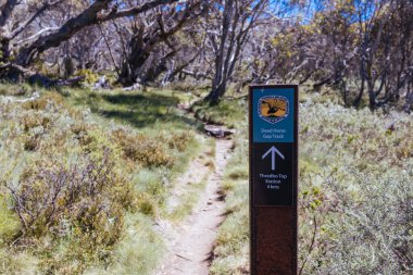 Ramshead Dağları 'nın eteklerindeki Ölü At Geçidi yürüyüş yolunun başlangıcı sıcak bir yaz günü Kosciuszko Ulusal Parkı, Yeni Güney Galler, Avustralya' da Thredo yakınlarında.