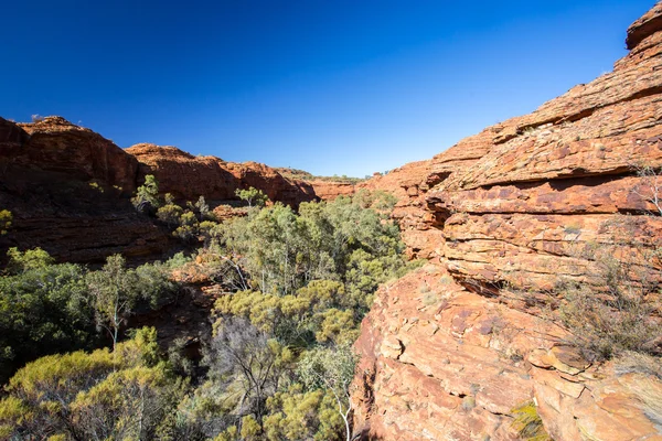 Koningen Canyon — Stockfoto