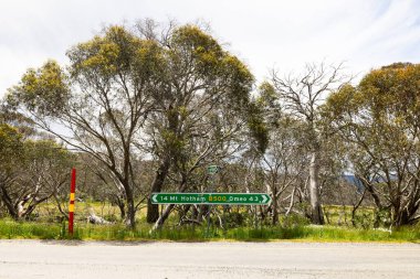 Akşam Yemeği Plain, AUSTRALYA - 10 Ocak 2026: Victoria, Avustralya 'da yaz boyunca Akşam Yemeği Köyü ve sokak manzarası