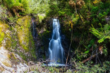 Muhteşem Hogarth Şelaleleri ve Strahan 'ın çevresindeki yürüyüş yolu ve manzara Tazmanya, Avustralya' da sıcak bir yaz günü