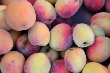 Şeftali meyve arka kadar yakın. Taze çiftlik