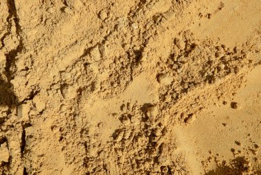 portre sarı kum yığını doku arka plan.