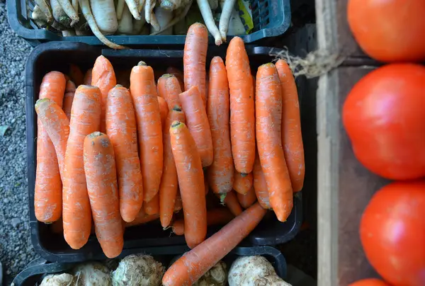 Свежая садовая морковь на продажу на фермерском рынке . — стоковое фото