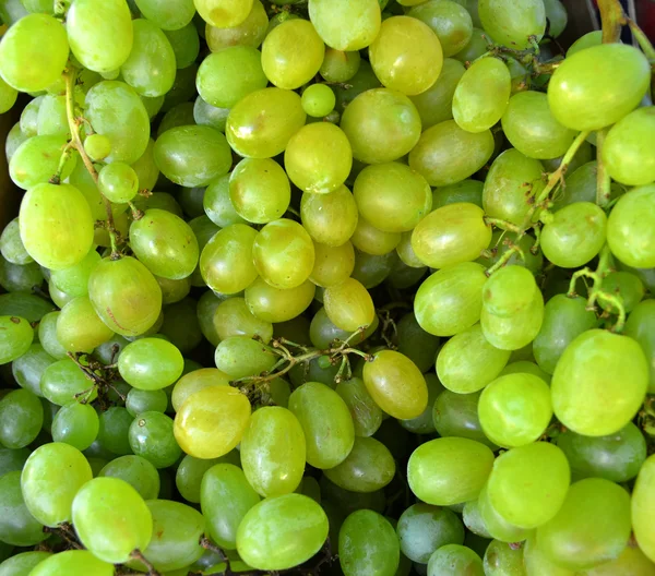 Ripe grape fresh from the farm. Background — Stock Photo, Image