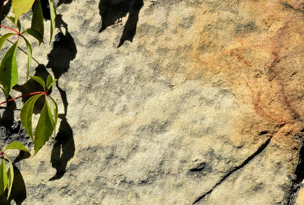 Textur und Oberfläche der Wand durch Stein. — Stockfoto