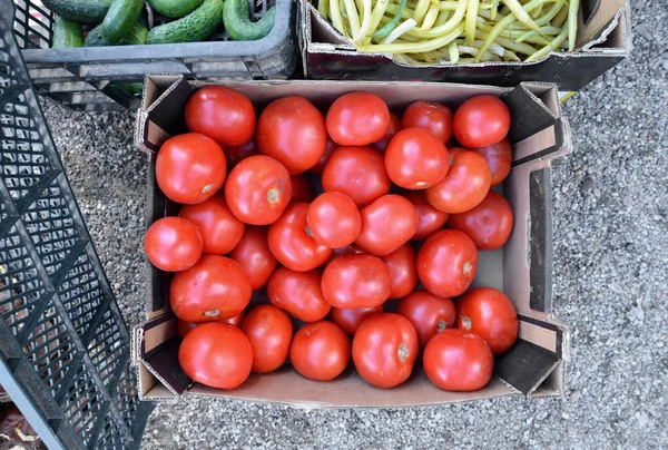 Roșii proaspete legume pe o piață agricolă — Fotografie, imagine de stoc