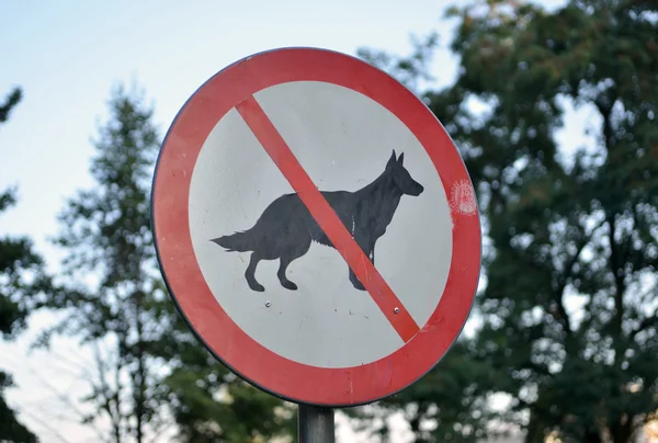 Keine Hunde erlaubt Schild im Park — Stockfoto