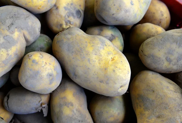 Patates çiğ sebze gıda çiftçilere piyasa Satılık. backgro — Stok fotoğraf