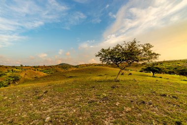 güzel mavi gökyüzü ile montain görünümü