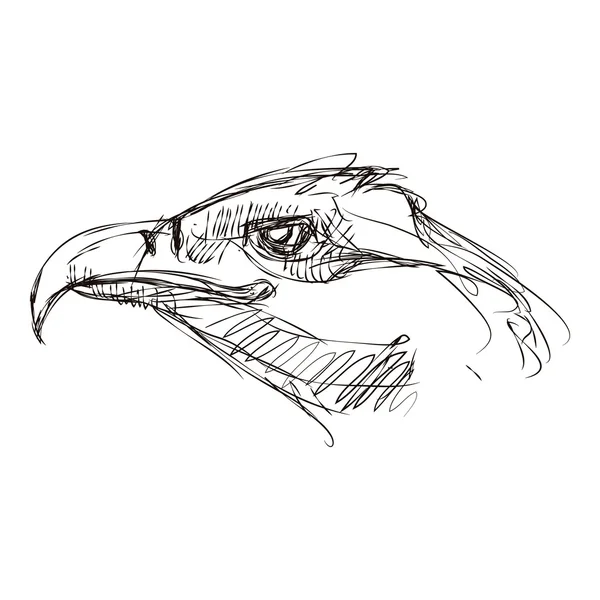Sketch of a head eagle Stock Vector