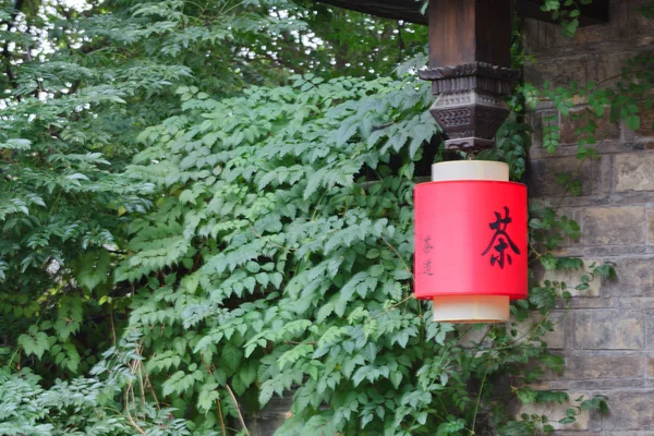 China chating red lantern picture — Stock fotografie