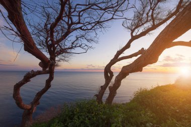 Rusya 'nın Gelendzhik kentindeki Tolstiy Burnu' ndan Karadeniz manzarası