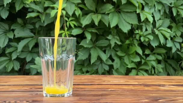 Verser du jus d'orange dans du verre dans le jardin, super slow motion — Video