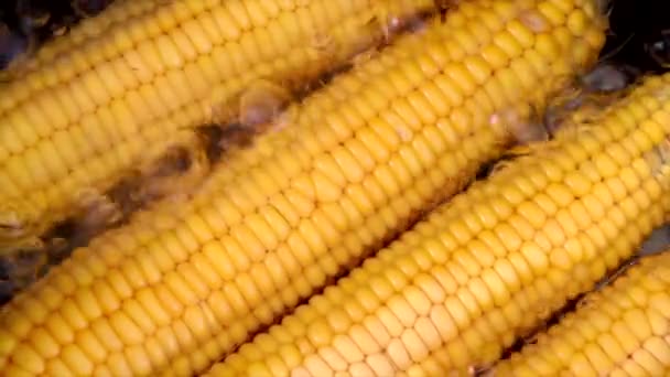 Gouden maïs in pot met kokend water — Stockvideo