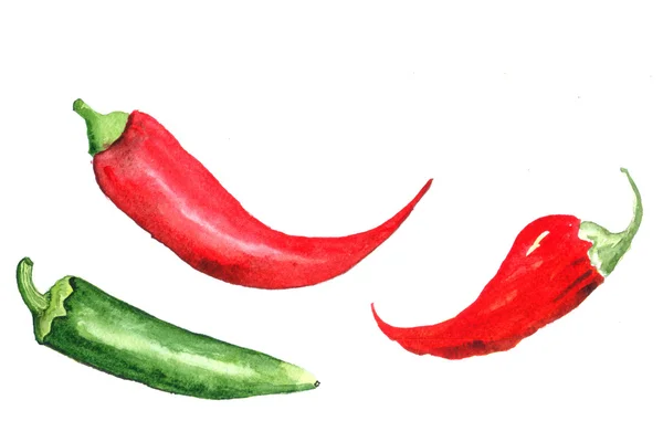 Pimenta aquarela desenhada à mão — Fotografia de Stock