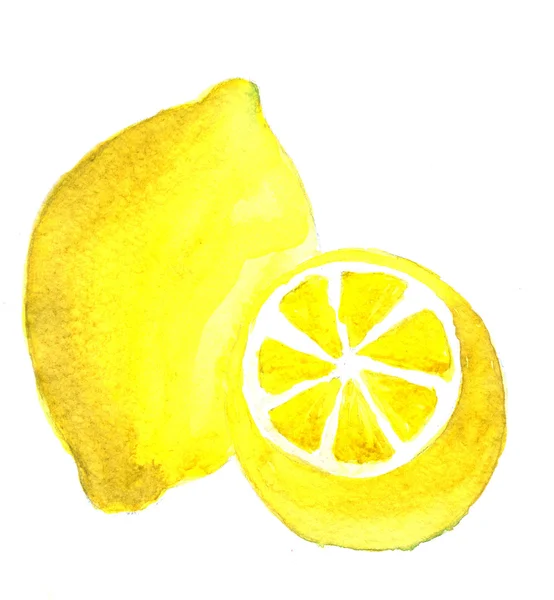 Zitrone. handgezeichnete Aquarellmalerei auf weißem Hintergrund. — Stockfoto