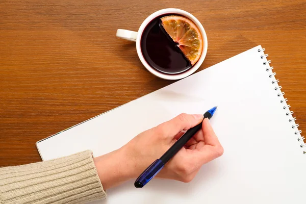 Vrouwelijke hand bedrijf pen — Stockfoto