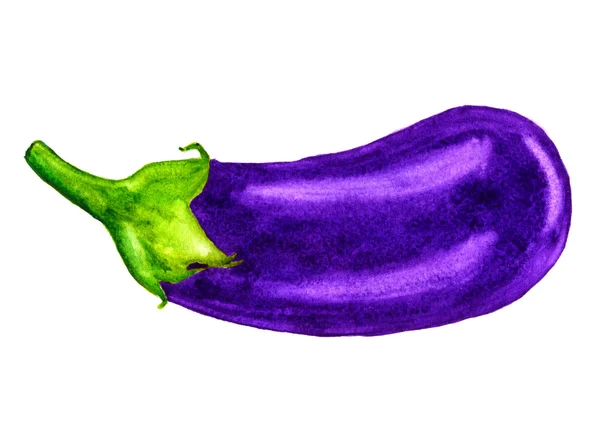 Aubergine isolée sur blanc. Aquarelle — Photo