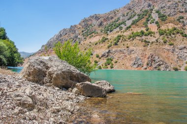Tien Shan dağlarında dağ nehir