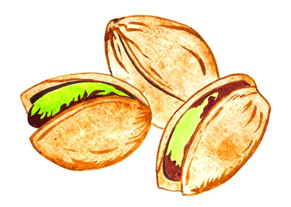 Nueces de pistacho aisladas en blanco — Archivo Imágenes Vectoriales