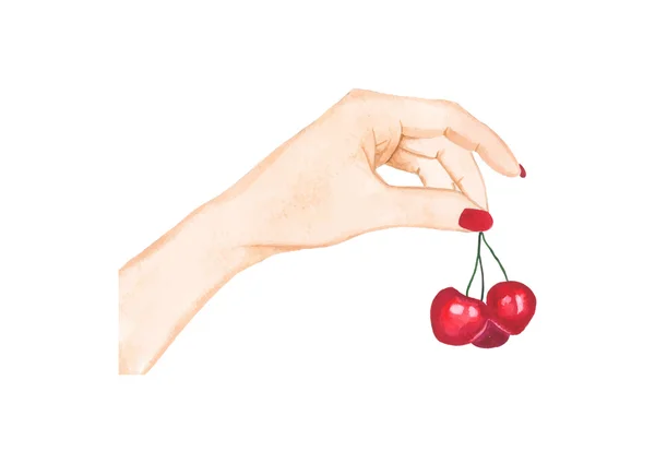 Hand innehav cherry. Akvarell, vektor. — Stock vektor