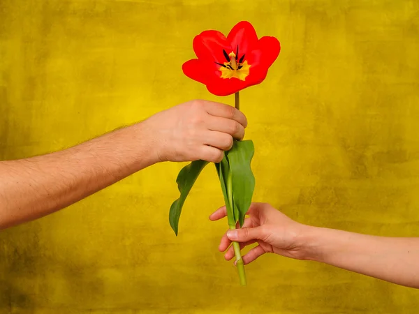 Man giving flowers to woman