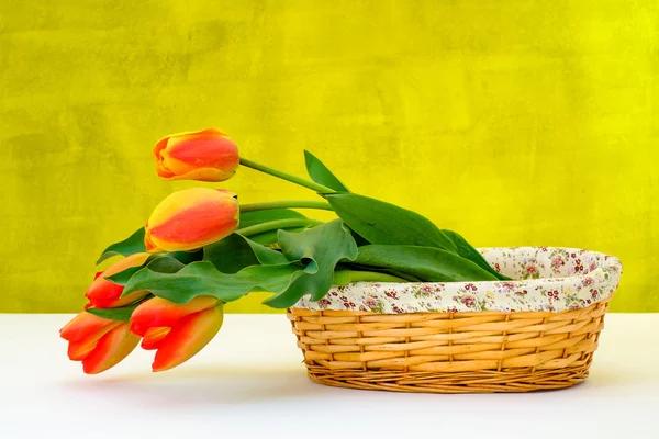 Colorful tulip on white table in basket — Stock Photo, Image