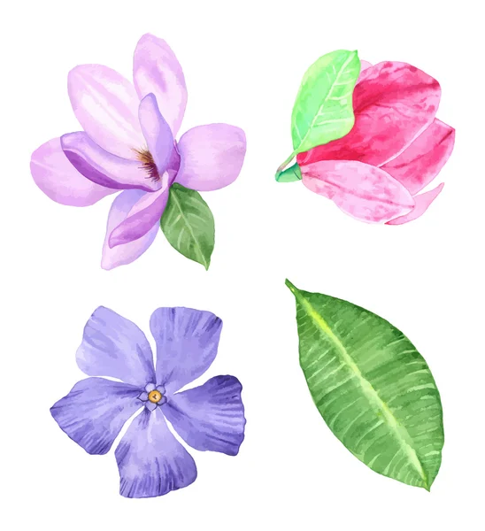 Flores de aquarela. Vector. Pintado à mão. Isolado em branco . — Vetor de Stock