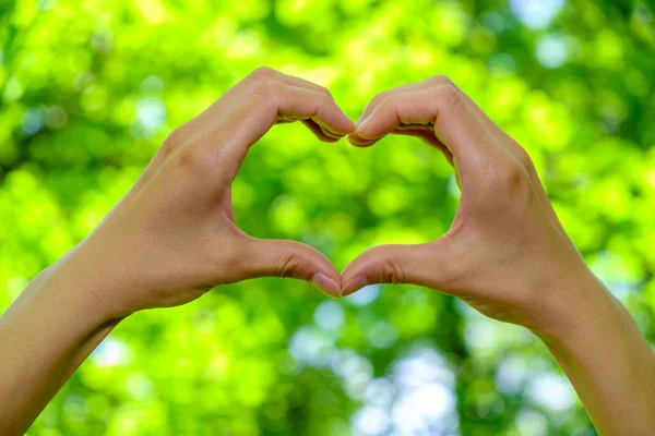Fechar as mãos da mulher mostrando a forma do coração no fundo verde natural, amor e conceito de relacionamentos . — Fotografia de Stock