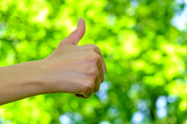 Woman showing thumbs up on natural green background