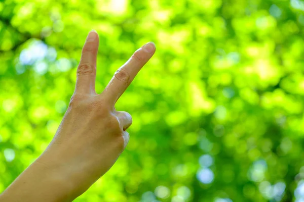 Gestures, number 2 in sign language — Stock Photo, Image