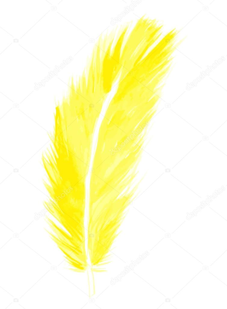 Yellow feather. Watercolor, vector. Stock Vector Image by ©omnislash