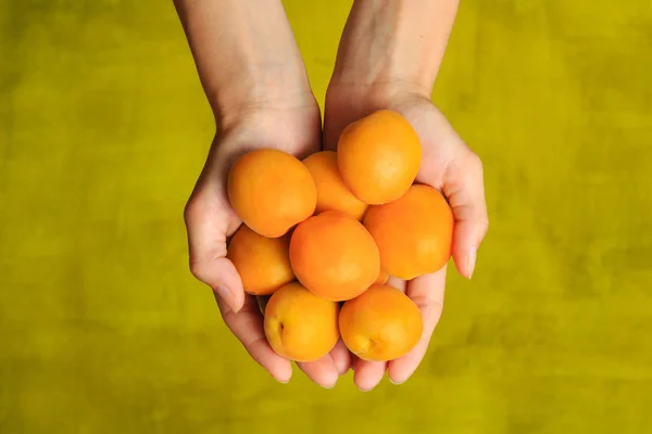 Yellow ripe apricots in woman's hands on green background — Stock Photo, Image